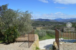 garde-corps en acier sur mesure à barreaux droits motif olives entouré de végétations oliviers vignes montagnes sous un ciel bleu ferronnerie delbart les Mées en Haute Provence 04.