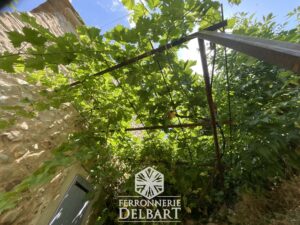 treille en fer forgé pour plantes grimpantes. Ferronnerie delbart Haute-Provence